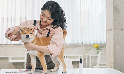 공지사항이미지3