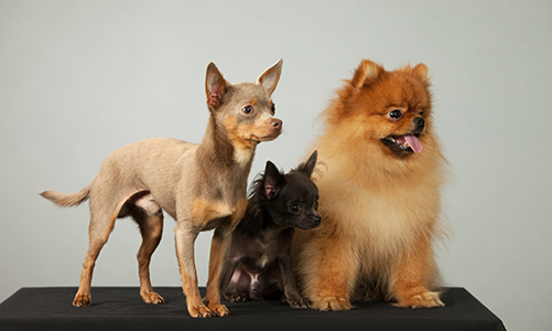 공지사항이미지2