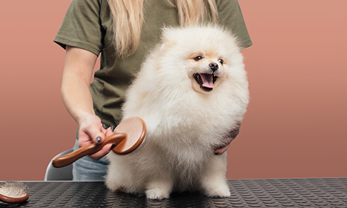 공지사항이미지3