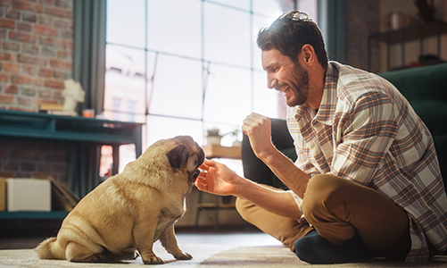 공지사항이미지3