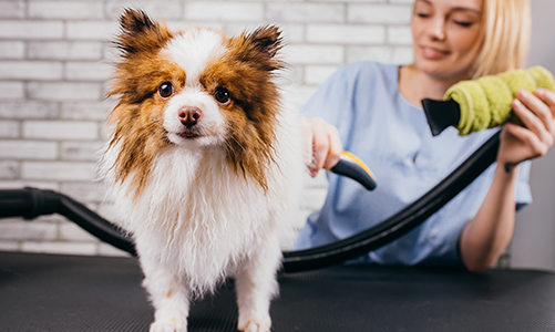 공지사항이미지2