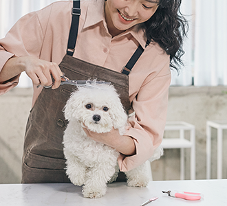 공지사항이미지1